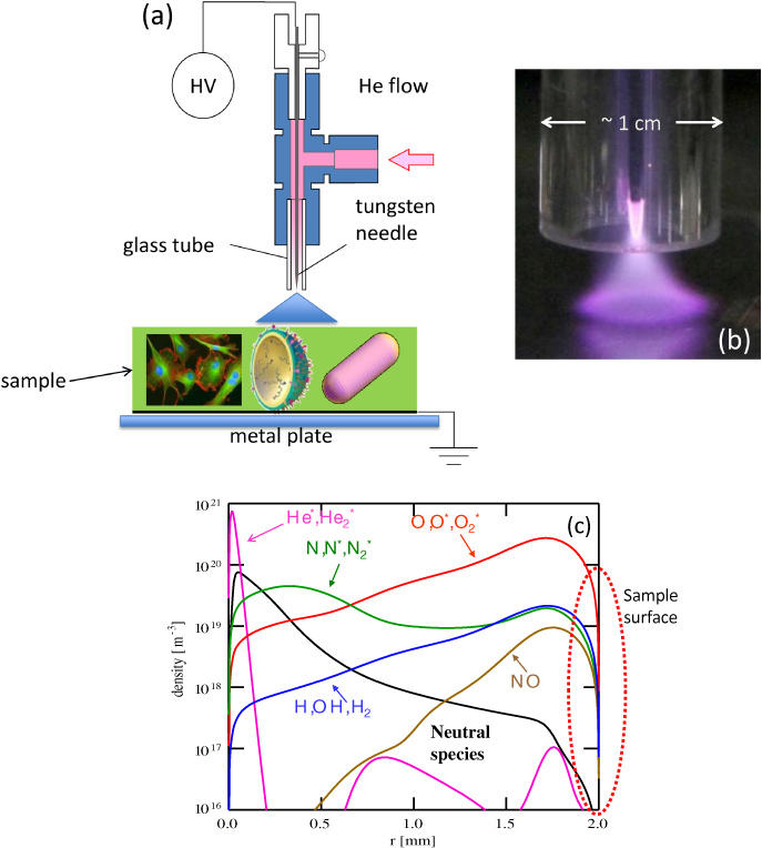 Plasma in infection Control